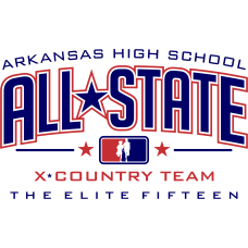 All State Gildan Sweatshirt (Roster Back)